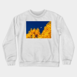 Moonset Over Aspen Gold Crewneck Sweatshirt